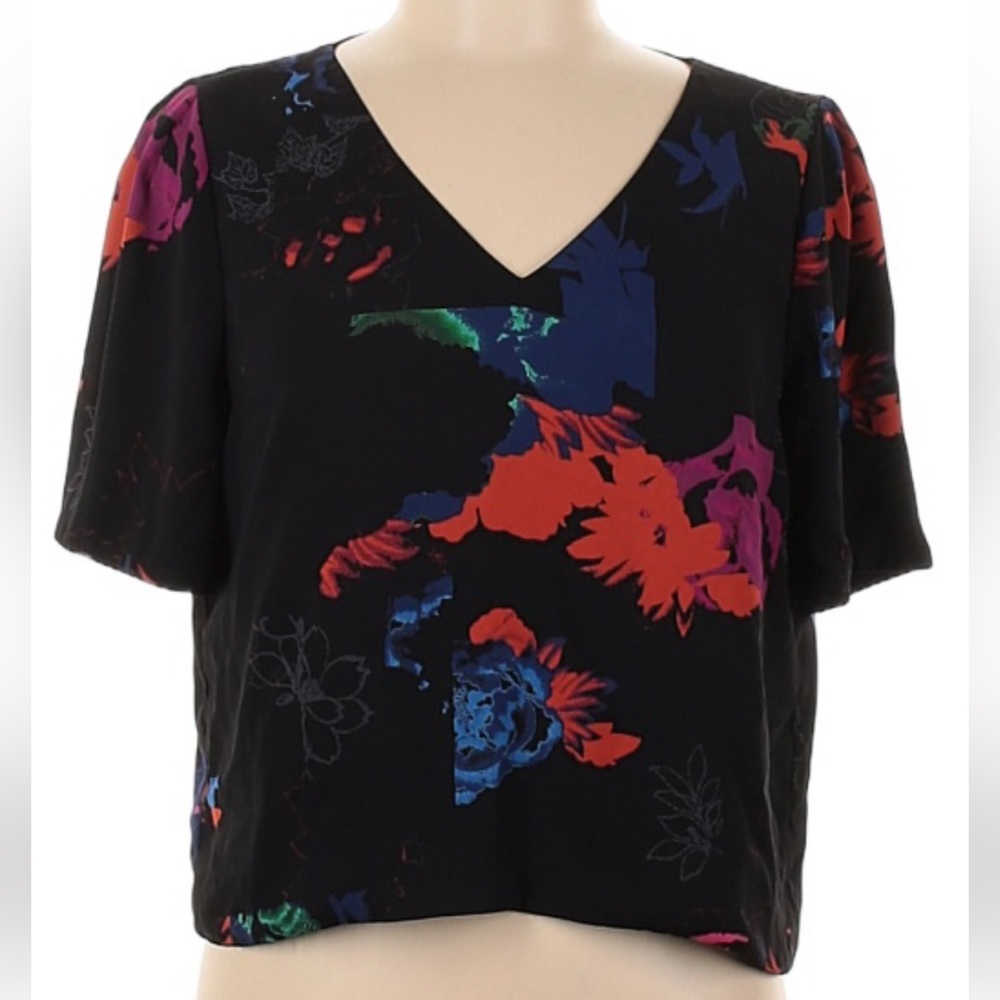 Babaton by Aritzia Floral Top